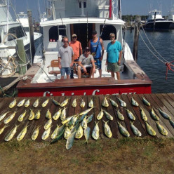 Lots of Mahi