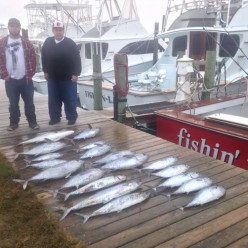 Blackfins today