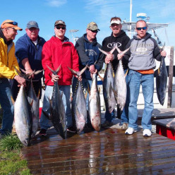 Yellowfin tuna